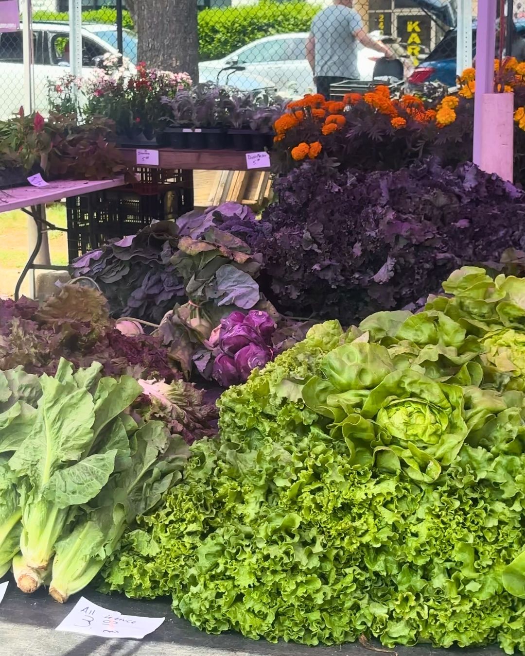 Large display of fresh leafy greens and purple cabbage at farmers market vendor stand