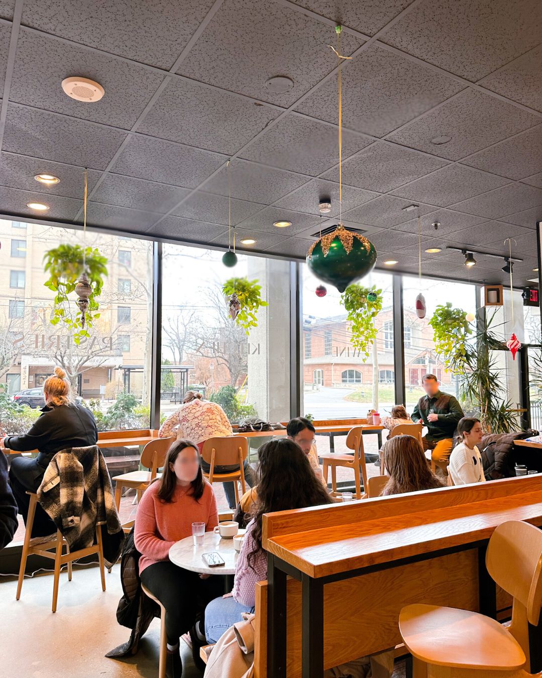 Chatting customers seated at Simona Cafe Bethesda, decorative hanging plants, and large windows overlooking the street