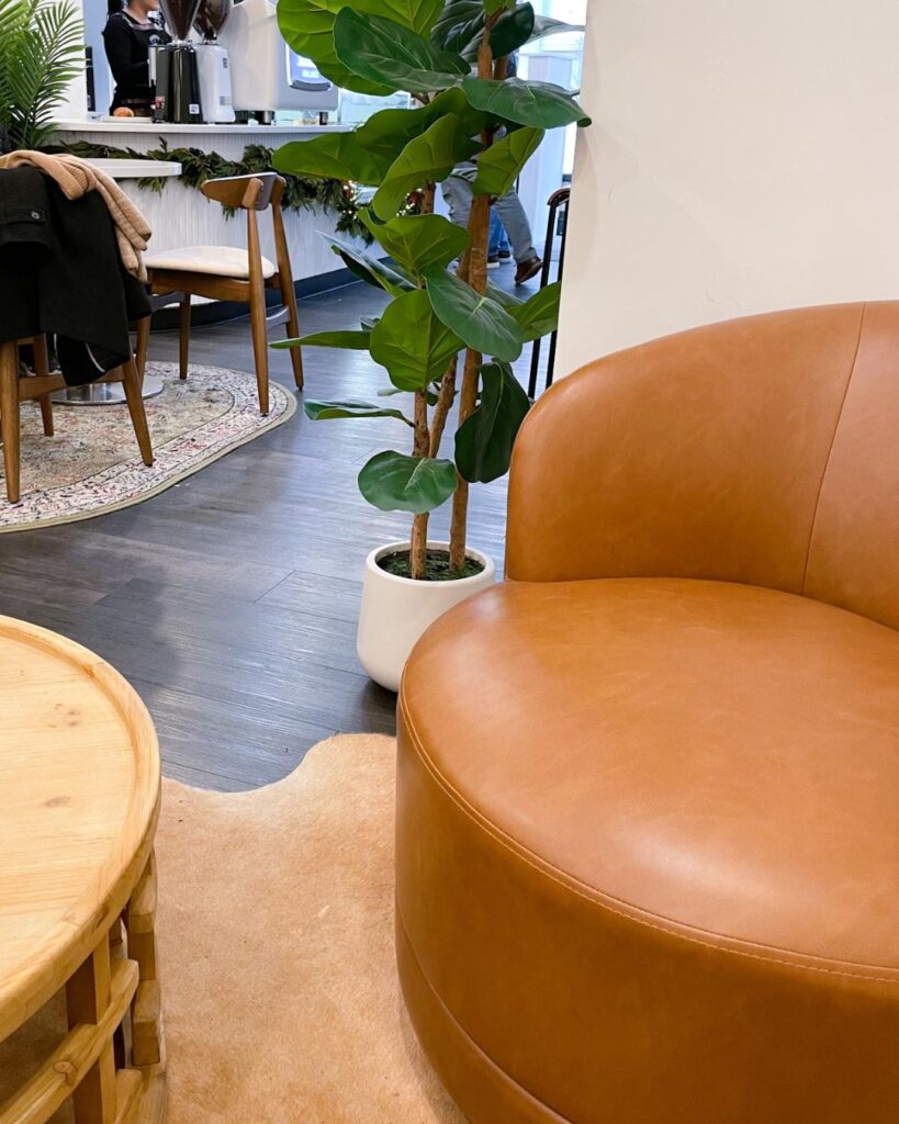 Modern furniture details including a round wooden table and leather chair next to a fiddle leaf fig plant at Coffeefi Roastery